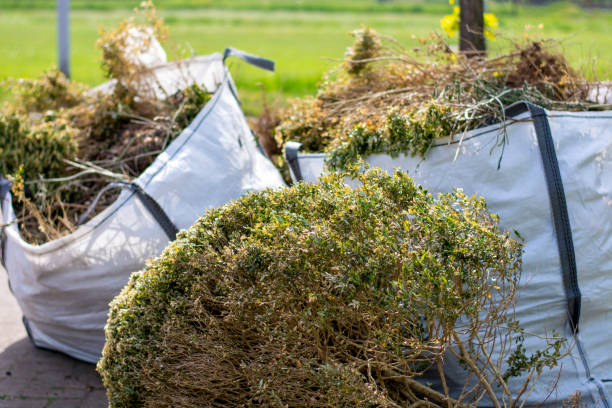 Best Household Junk Removal  in Friars Point, MS