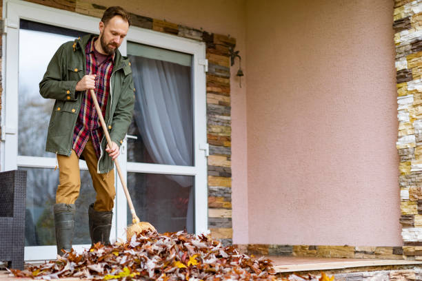 Best Basement Cleanout Services  in Friars Point, MS